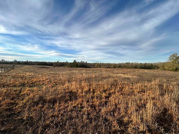 2nd image of Polk Rd #178