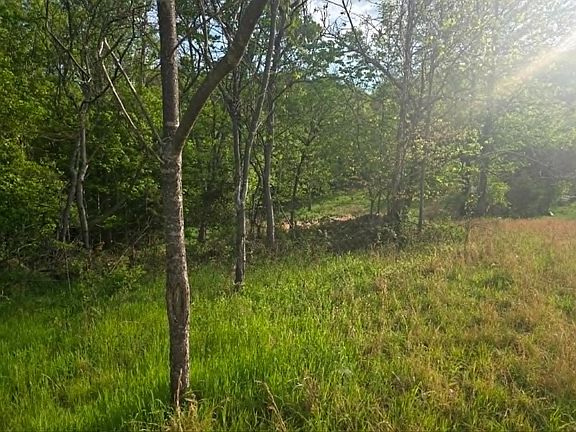 5th image of Strange Creek Rd