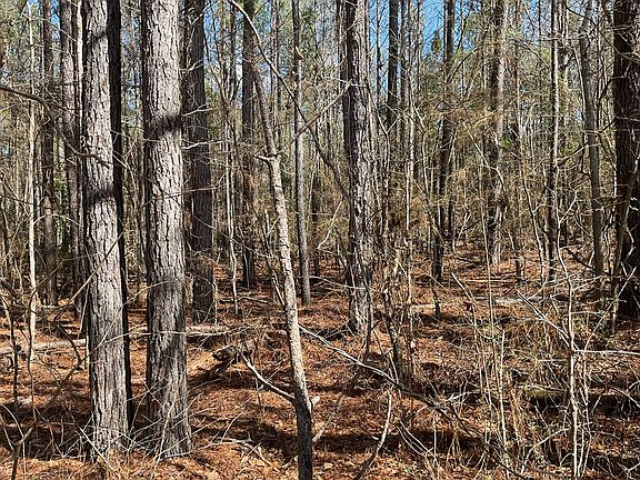 4th image of 2300 Vickery Rd