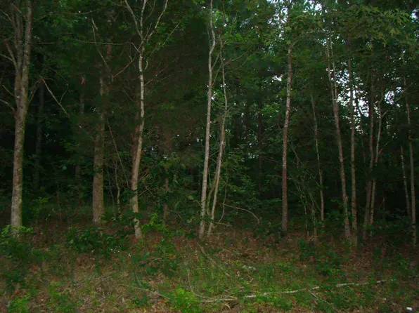9510 Old Stage Rd, Huntingdon, TN 38344