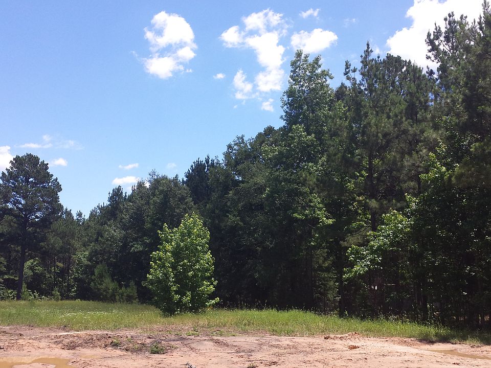 Part of the backyard