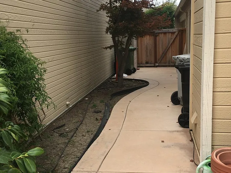 Side Yard