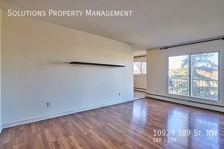 Bright and Spacious 1 Bedroom Unit — Photo 3