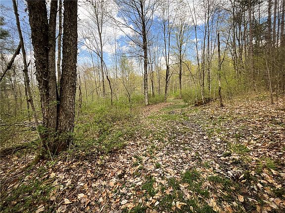 4th image of W Creek Rd Lot 2