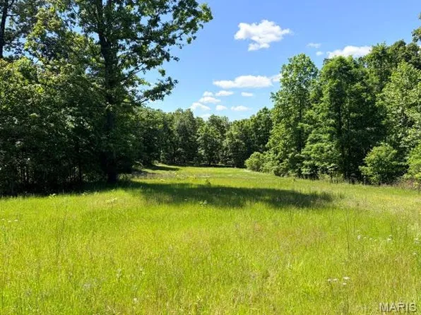 1 Ripley Rte E #V, Doniphan, MO 63935