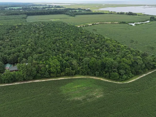0 Fox Grove Rd, Parksley, VA 23421