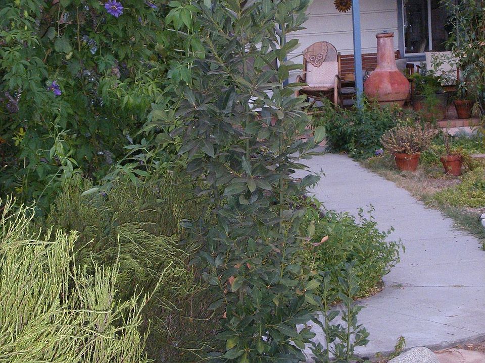 1st image of 3216 Santa Anita Ave