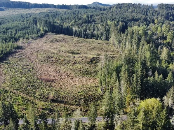 0 Cedar Creek Road, Toledo, WA 98591