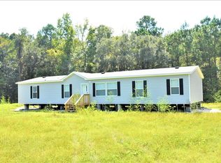 157 Tom Williams Rd NE, Ludowici, GA 31316
