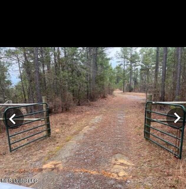County Road 4165, Sallis, MS 39160 Zillow