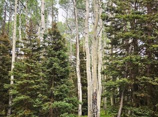 390 Rim Rd, Cimarron, CO 81220