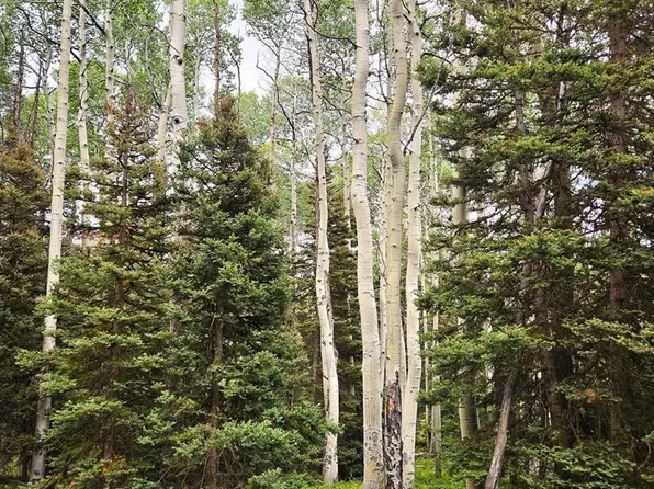 390 Rim Road, Cimarron, CO 81220