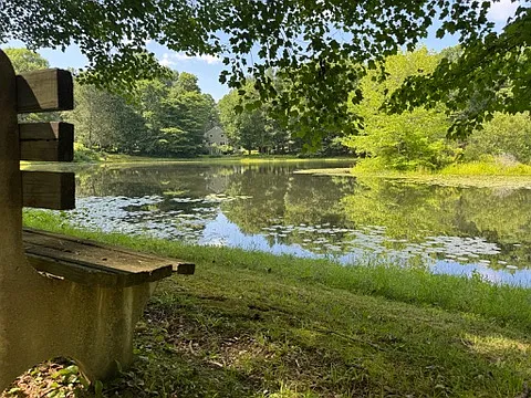 bench w/ view of neighborhood pond
