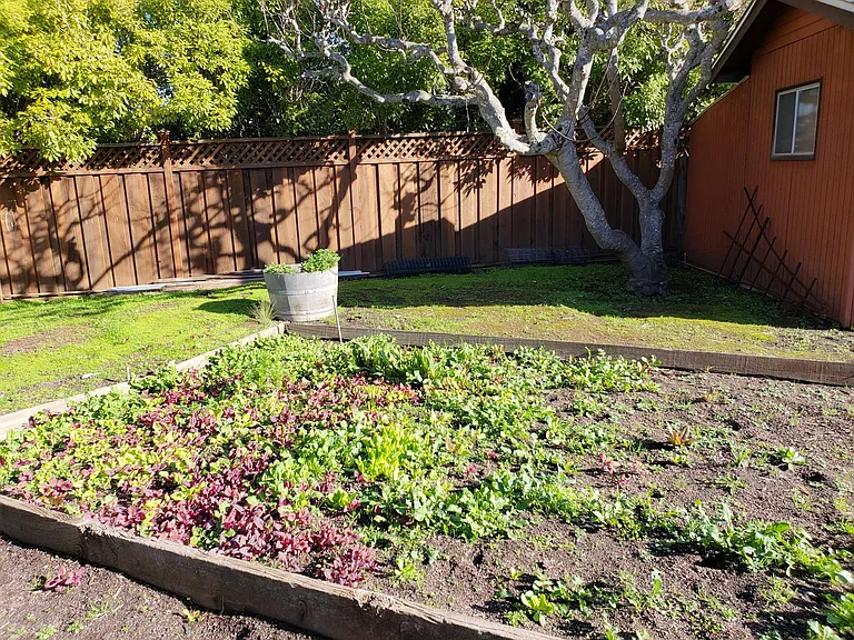 Garden 2025