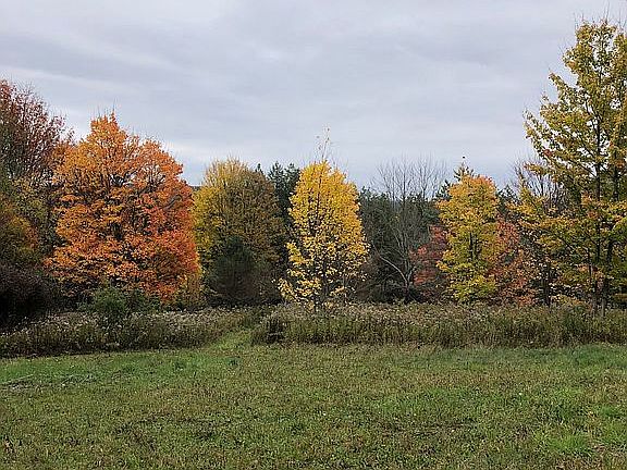 Beautiful Fall