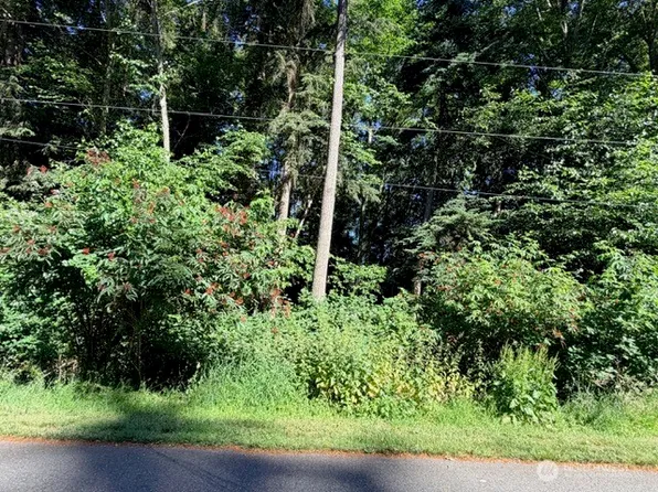 21 Lots Lakeview Terrance (Division 1), Langley, WA 98260