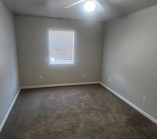 412 Spruce St — Photo 5