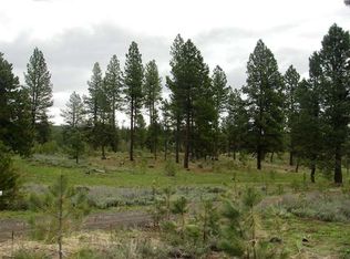 LOT 26 Old Highway 95, New Meadows, ID 83654