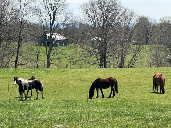 Chestnut Mountain Rd, Hinton, WV 25951