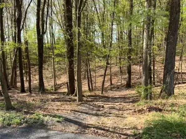 Tiger Lilly Ln, Saylorsburg, PA 18353