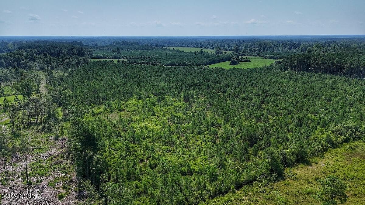 0 Bowen Blanks Drive, Riegelwood, NC 28456 | Zillow
