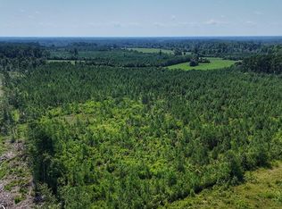 0 Bowen Blanks Dr, Riegelwood, NC 28456