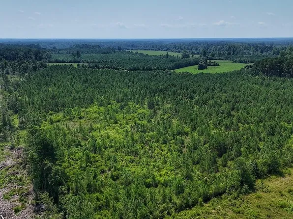 0 Bowen Blanks Drive, Riegelwood, NC 28456