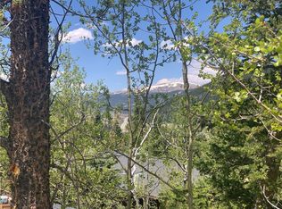 Tbd Aspen St, Alma, CO 80420
