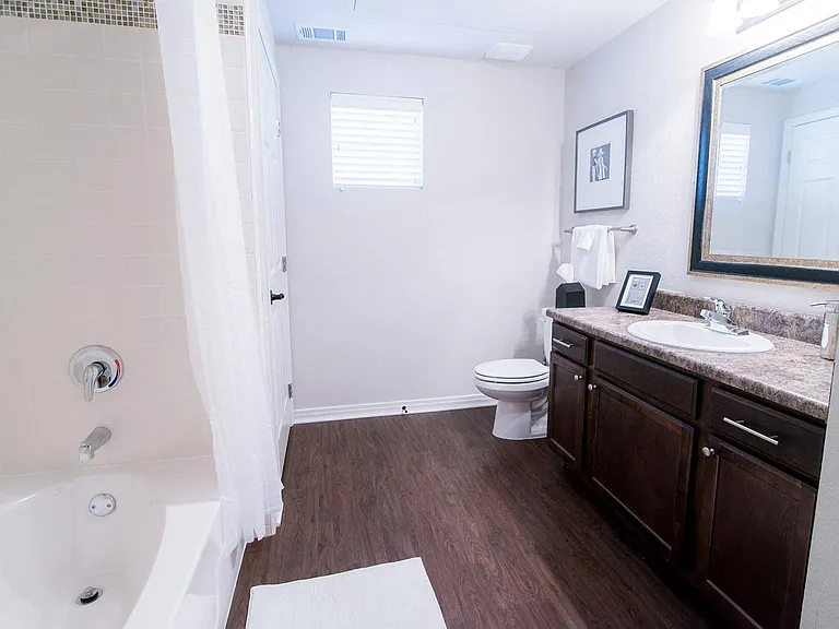 The Villa at River Pointe Apartments — Photo 7