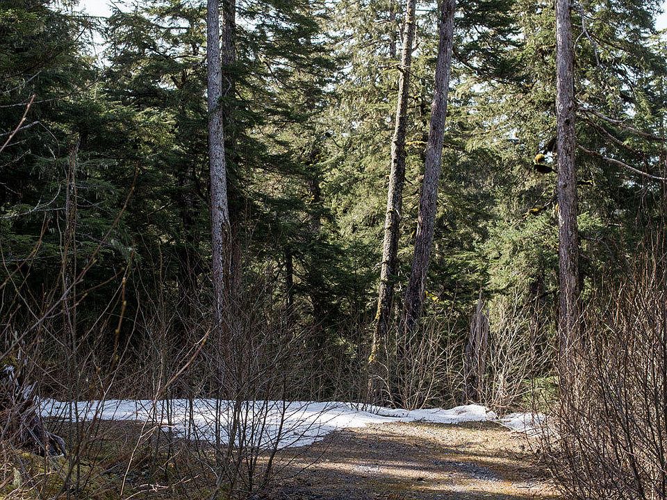 1st image of 5 Alpine Falls Cir