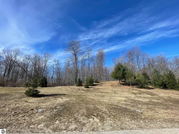 6464 Floreys Ranch Rd, Grawn, MI 49637