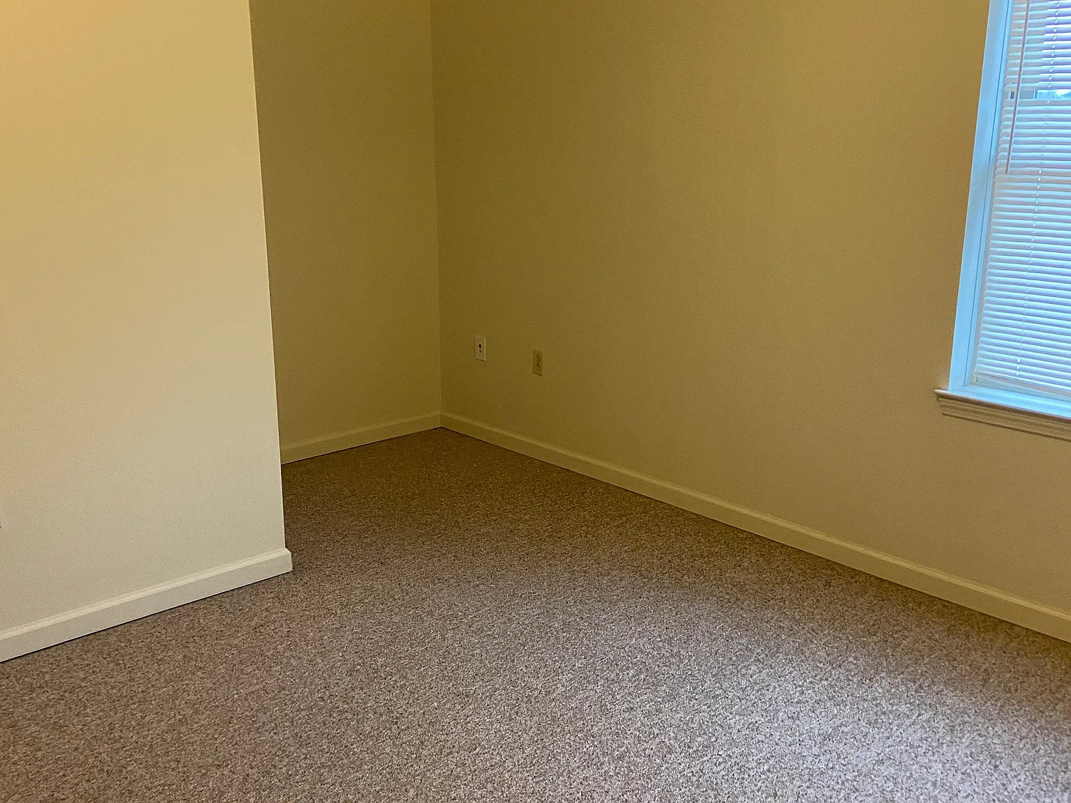 3 bed, 1.5 bath, 1188 sqft, $980 — Photo 3