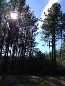 636 Shepherds Xing Lot 33, Oxford, GA, 30054
