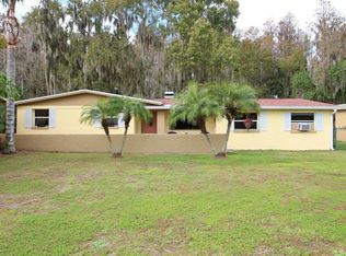 17350 Darby Ln, Lutz, FL 33558