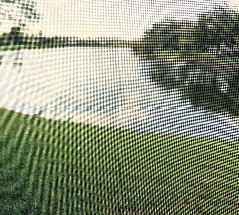 View of the lake
