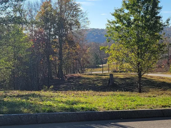 308 Caney View Dr, Harriman, TN 37748