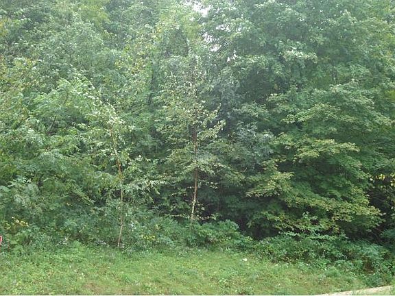 3rd image of LOT 3 250th Ave