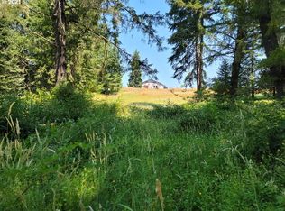 49390 Mountain View Rd, Oakridge, OR 97463