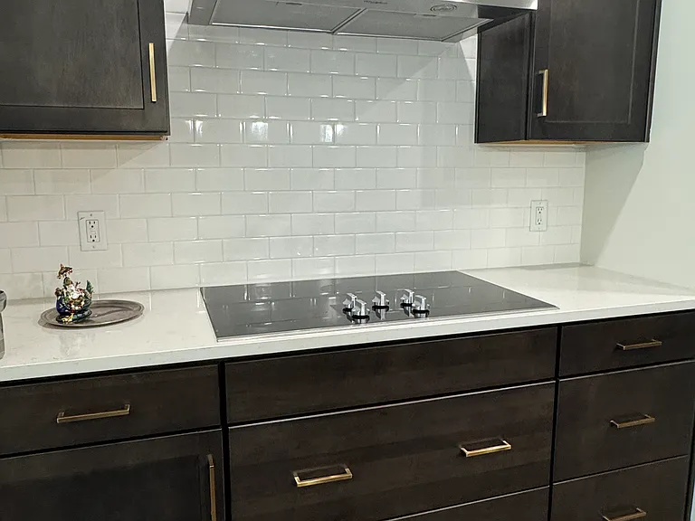 213 Twinleaf Ct — Photo 10