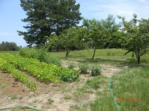5th image of 4827 E Fm 323