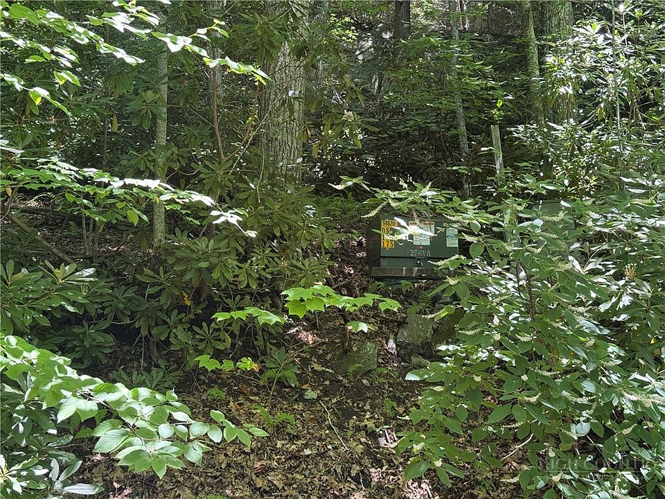 2nd image of TBD Cottonwood