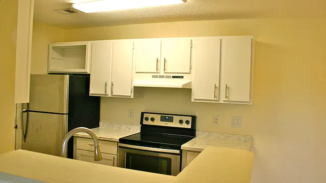 2516 Grassy Point Dr — Photo 4
