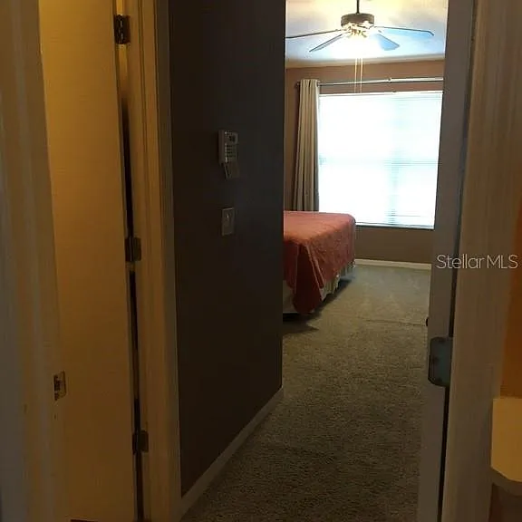 6448 Osprey Lake Cir — Photo 10