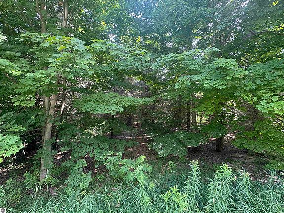 4th image of 22 Mile Rd