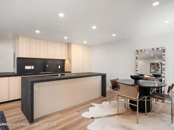 425 Park Cir #B1, Aspen, CO 81611