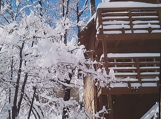 692 Orange Ave, Big Bear City, CA 92386