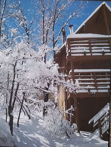 692 Orange Ave, Big Bear City, CA, 92386