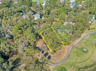 37 Bass Creek Ln, Bluffton, SC 29910