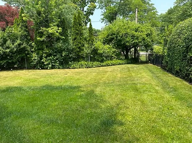 3 bed, 1.5 bath, 1200 sqft, $2,800 — Photo 4