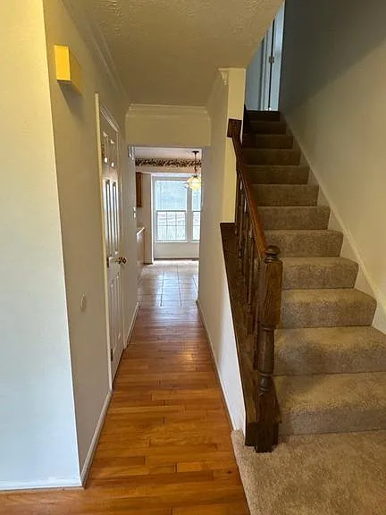 8698 Open Meadow Way — Photo 5